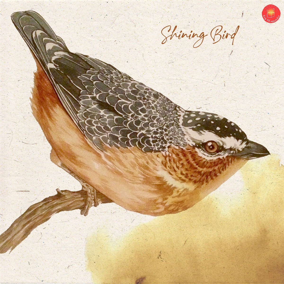 biglilmiracles's tweet photo. Shining Bird Watercolor
.
.
.
#watercolor #watercolorart #watercolordaily #birdspainting #watercolorpaint #dailyart #art #drawingbird #watercolorilustration #shining #shiningbird https://t.co/baN6KXpyNv