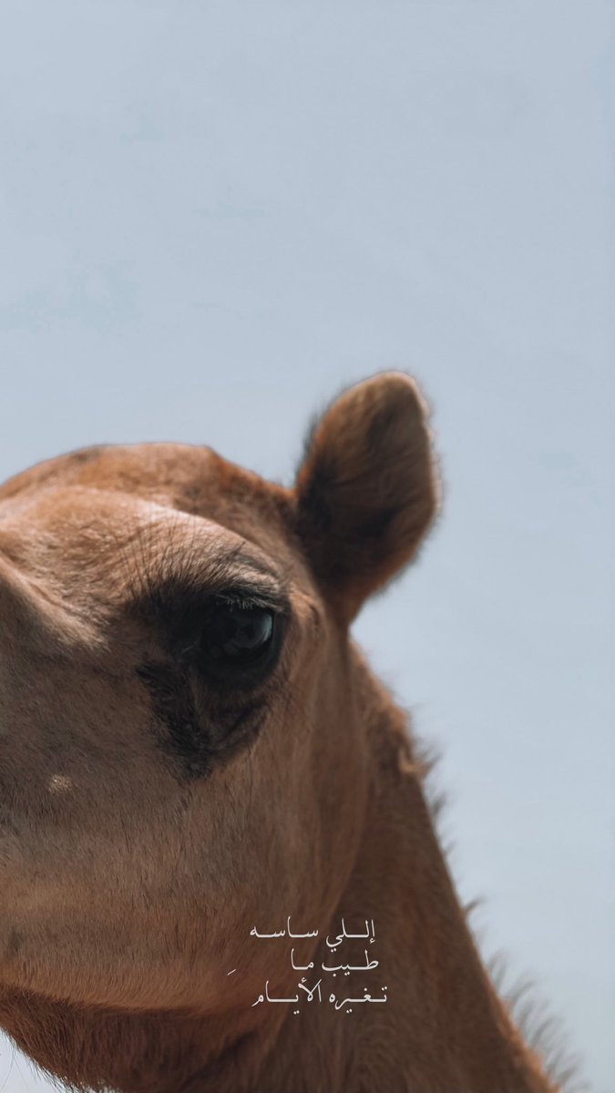 يحلف لي ﮼بظروفه وهوه مع غيري متهني. 📸