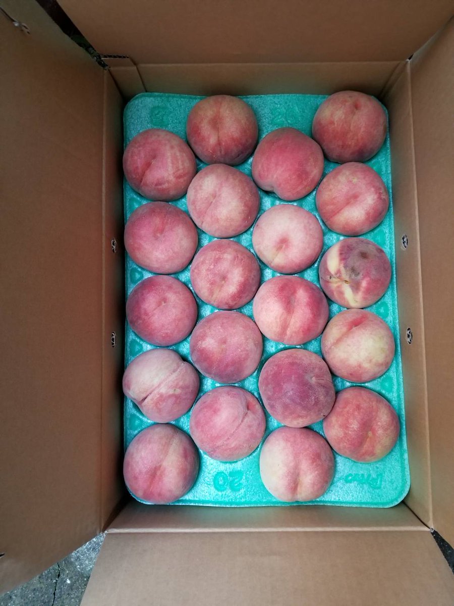 噂のゲーミング桃ゲット
丁寧な対応と驚きの価格に感謝の正拳突き
東さんありがとうございました！