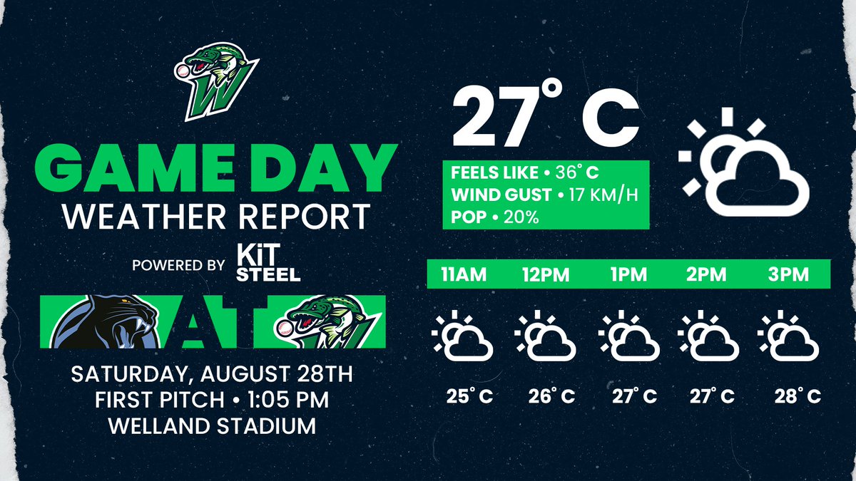wellandjackfish's tweet photo. What a beautiful day for Jackfish baseball! The Weather Report presented by Kit Steel
#GetHooked • #FansFirstFunAlways https://t.co/Tyv7KlyYxd