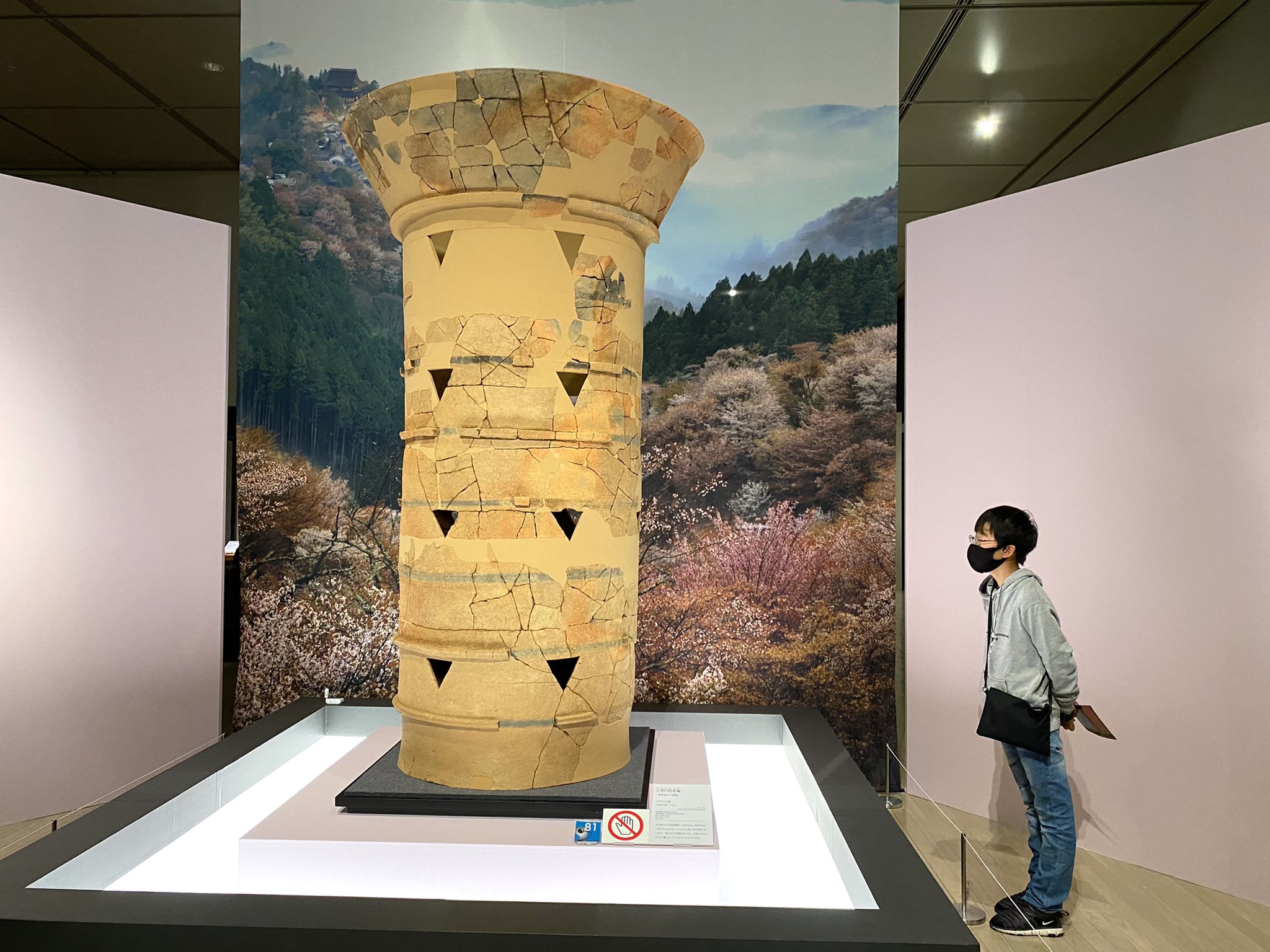 メスリ山古墳 奈良県メスリ山古墳出土品 文化遺産オンライン