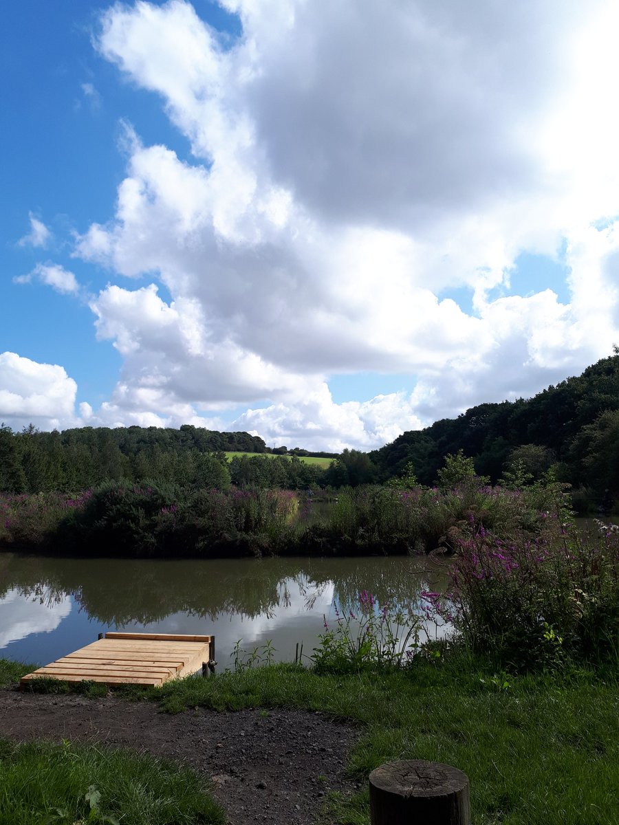 HaleyWritesEyre's tweet photo. We had a lovely morning at #AstonSpringsFarm @farmergirlsam walking the trail, feeding the sheep & goats, a drink & ice-cream in the Cafe & got a great gift in the gift shop; see website as they do pottery sessions. Good prices & service. #FamilyFunUK @RMBCPress @rotherhamtiser https://t.co/wWjbvoUI04