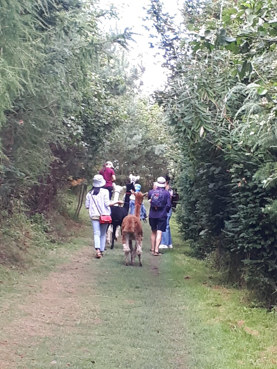 HaleyWritesEyre's tweet photo. We had a lovely morning at #AstonSpringsFarm @farmergirlsam walking the trail, feeding the sheep & goats, a drink & ice-cream in the Cafe & got a great gift in the gift shop; see website as they do pottery sessions. Good prices & service. #FamilyFunUK @RMBCPress @rotherhamtiser https://t.co/wWjbvoUI04