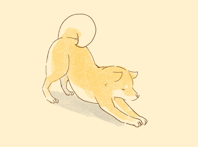 「shiba inu simple background」 illustration images(Latest)｜21pages