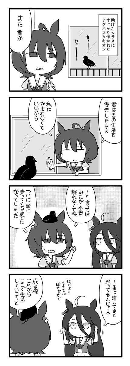 Twoucan ポン Pon0737