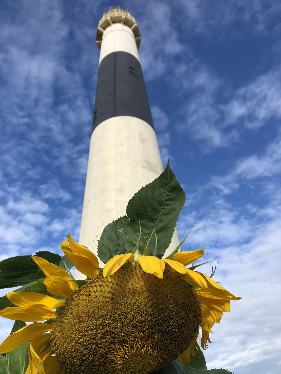 AbseconLight's tweet photo. Open 10-5pm for you - come on over! #familyfun #communitygardens #DoAC #exercise https://t.co/Yd7kMTMGSd