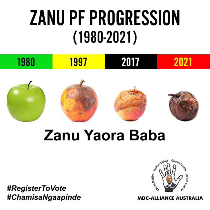 daddyhope's tweet image. This election message is not from Zimbabwe, it is from @MDCAustralia in Australia.

The role of the diaspora branches for the @mdczimbabwe is becoming more apparent!

They are twinned with their local branches, and they help them with organisation.

The diaspora is key in 2023!!
