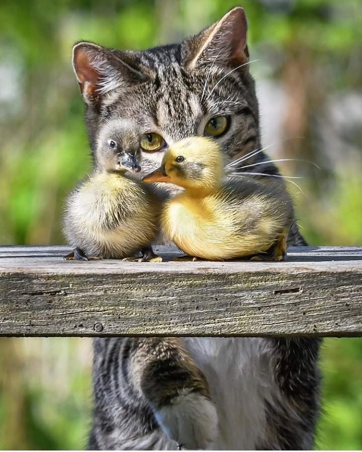 𝓐𝓭𝓻𝔂 ❤ tweet media