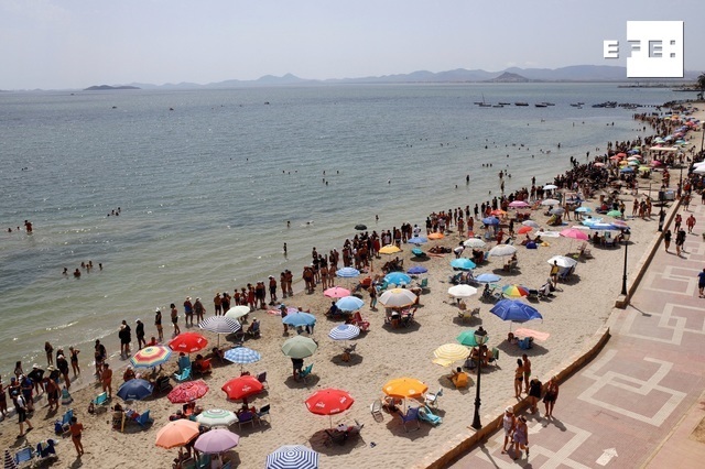 EFE Noticias tweet media