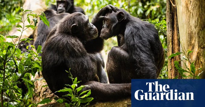 View image on Twitter