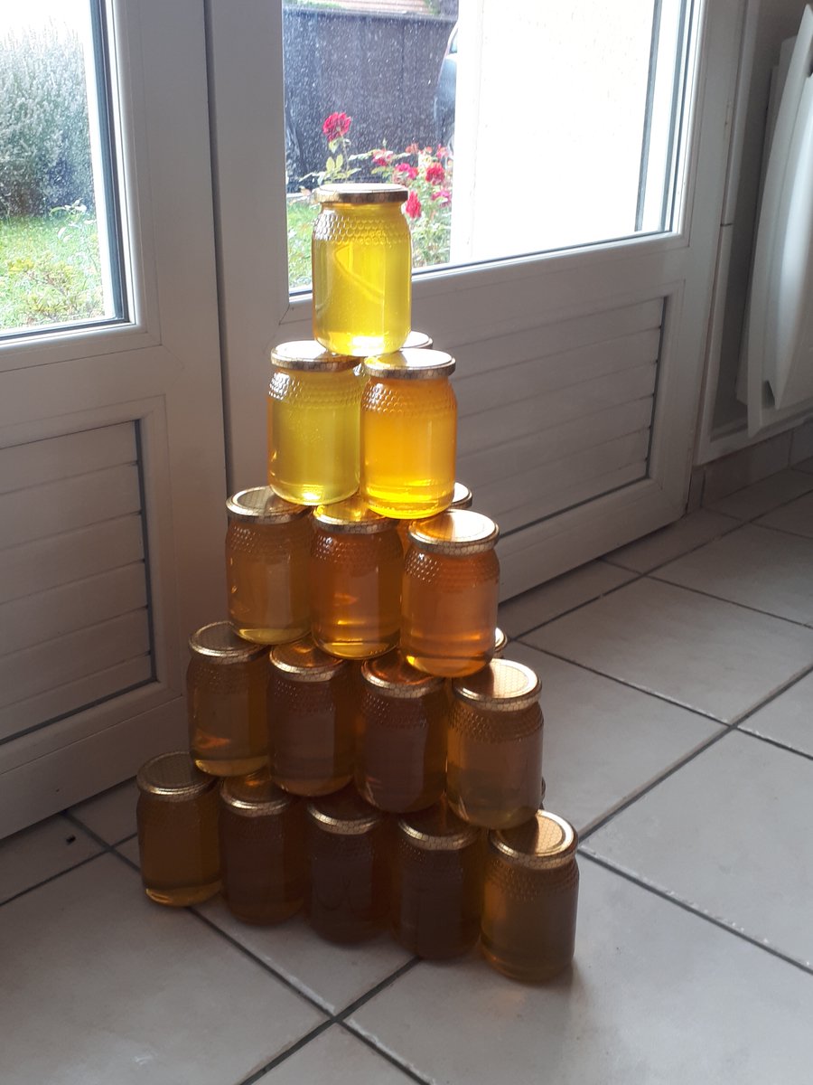 nikrou77's tweet image. Mise en pots !