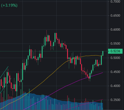austinrampt's tweet photo. It looks like $FTM is gonna go for the gold today. Some sticky resistance in this area but if we can push through 
 to $0.6 then its go time.

Should we full send this sucker? 🚀 https://t.co/l27Q7VnWLI