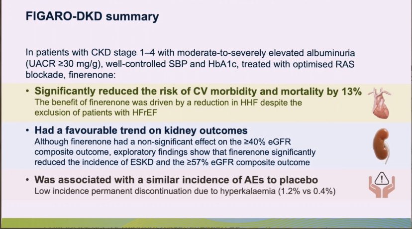 scaganefe's tweet photo. #FIGARO & #FIDELTY trial patients with DM + CKD #fineronene resulted 13% reduction in MACE 29% reduction in HFH @escardio @TKDResmi @drheartfailure @bcakal @seyh_musK @ElnurAlizade61 @AslangerE @Druars @CanbolatIP @Drzekiimek1 @drsedd @SengorBusra @bkultursay @canyucelkarabay https://t.co/ZPJGBoZVMK