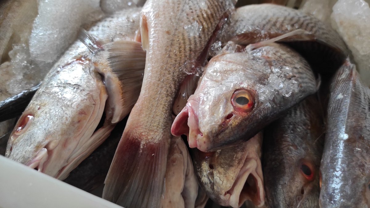 Edgar Urbina (EdgarUrbina_C) Twitter