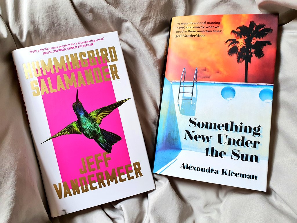 asyndetic's tweet photo. bought myself some presents 🐦🦎☀️🌴 #HummingbirdSalamander #SomethingNewUnderTheSun ✨ https://t.co/X4OVxlFdn1