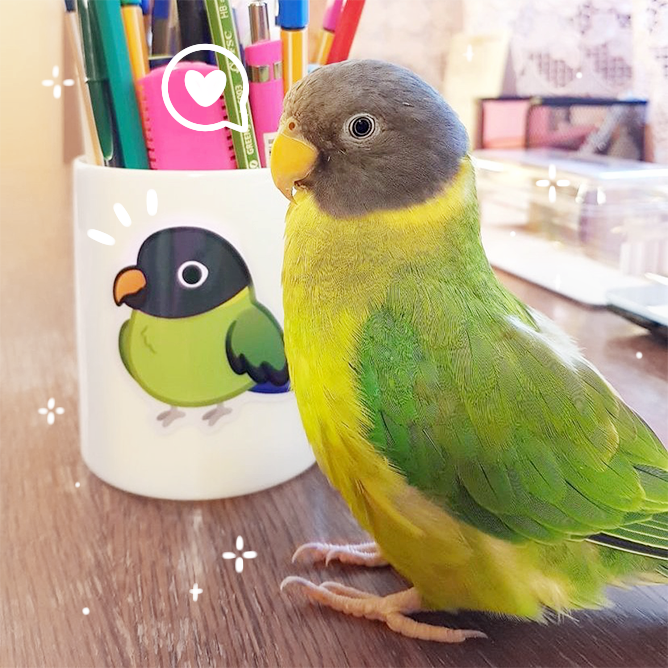 Caesar looks proud of her matching plum-headed parakeet sticker 🤩

Shop hundreds of pet stickers + keychains:
cloriscreates.etsy.com ✨

#BirdsSeenIn2021 #cute #pets #parakeet #Sticker #STICKER_1MillionPreOrders #etsy #gifts