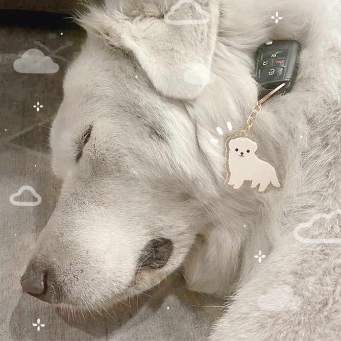 snoooozin 😴

Shop hundreds of pet stickers + keychains in my Etsy shop: cloriscreates.etsy.com

#dogsofinstagram #keychain #gifts #giftideas #cartoon #greatpyrenees #etsyshop #SmallBiz