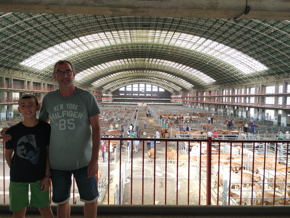 MercePuiggros's tweet photo. Hem estat a #Torrelavega al Mercat Nacional de Bestiar. 15.000 m2 ocupats per #vedells. Cada dimarts fan el mercat on es fan els tractes per la compra de vedells. Pels que som del sector és una visita emocionant.
#Cantabria #terneros @ruralcat #somramaders #ramaders #sompagesos https://t.co/4NRHApnZ2A
