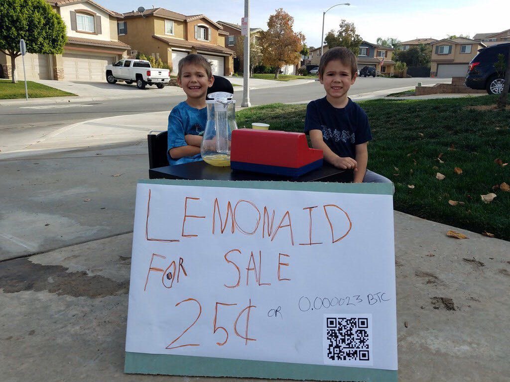 danheld's tweet image. Two kids selling lemonade for #Bitcoin in 2017.

They're both now millionaires.