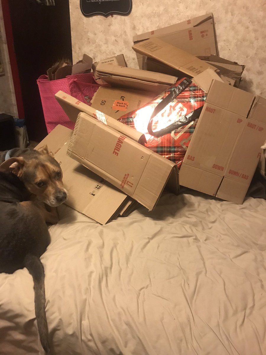 SevansWormery's tweet photo. Holy #cardboard! We never like to run out of #bedding for the #worms, so we get a little crazy. This mountain took us three hours to prep. Then it’s time to #shred! It’s a process, but look at all the cardboard that gets #recycled! Feed worms, not landfills 🪱 https://t.co/ZARlCA77oZ