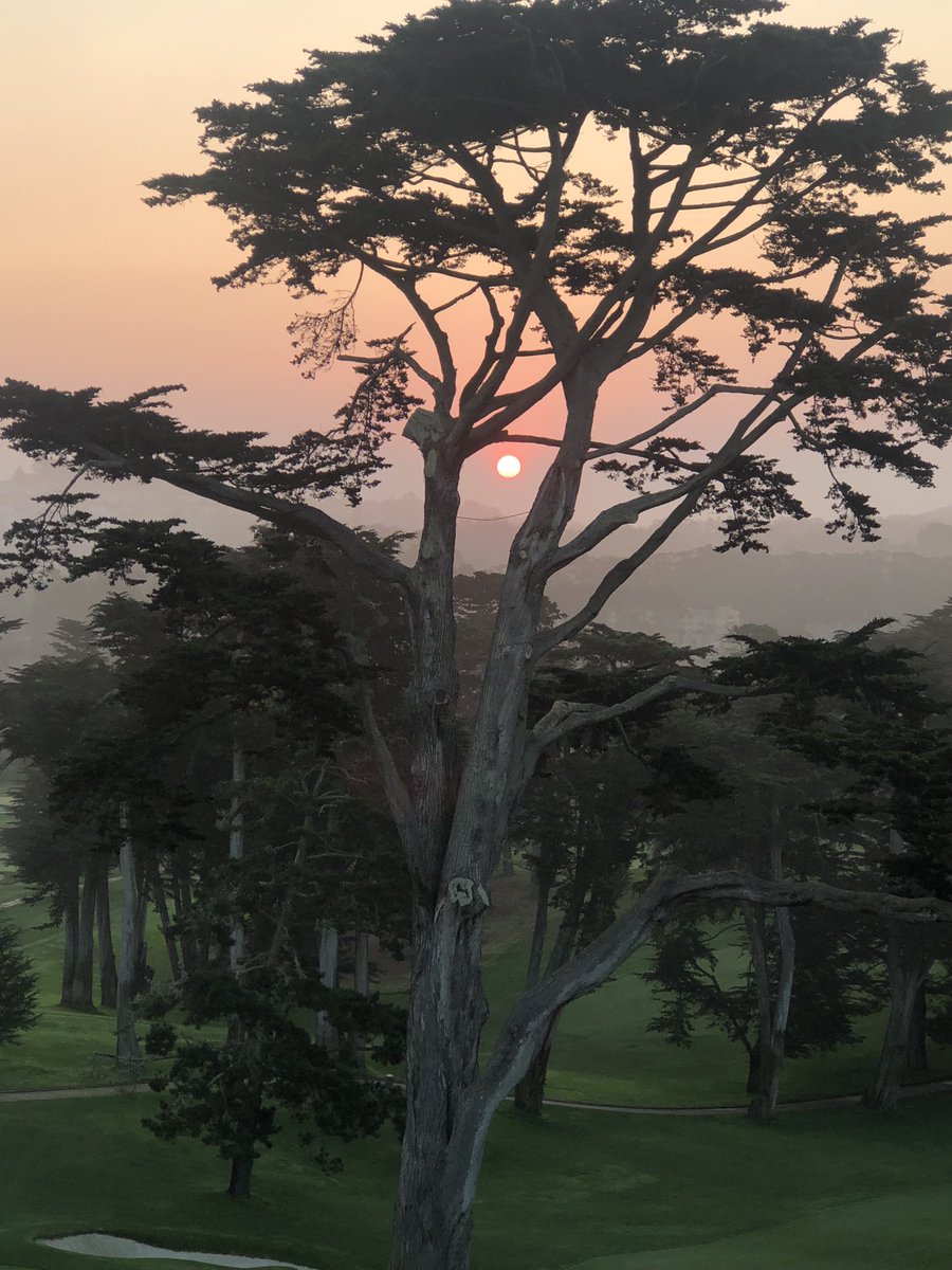 WillHutter's tweet photo. Sunrise @TheOlympicClub for Play The Property Tournament. Members play all 45 holes of golf walking only #survive45 https://t.co/BG6ULPlWsl