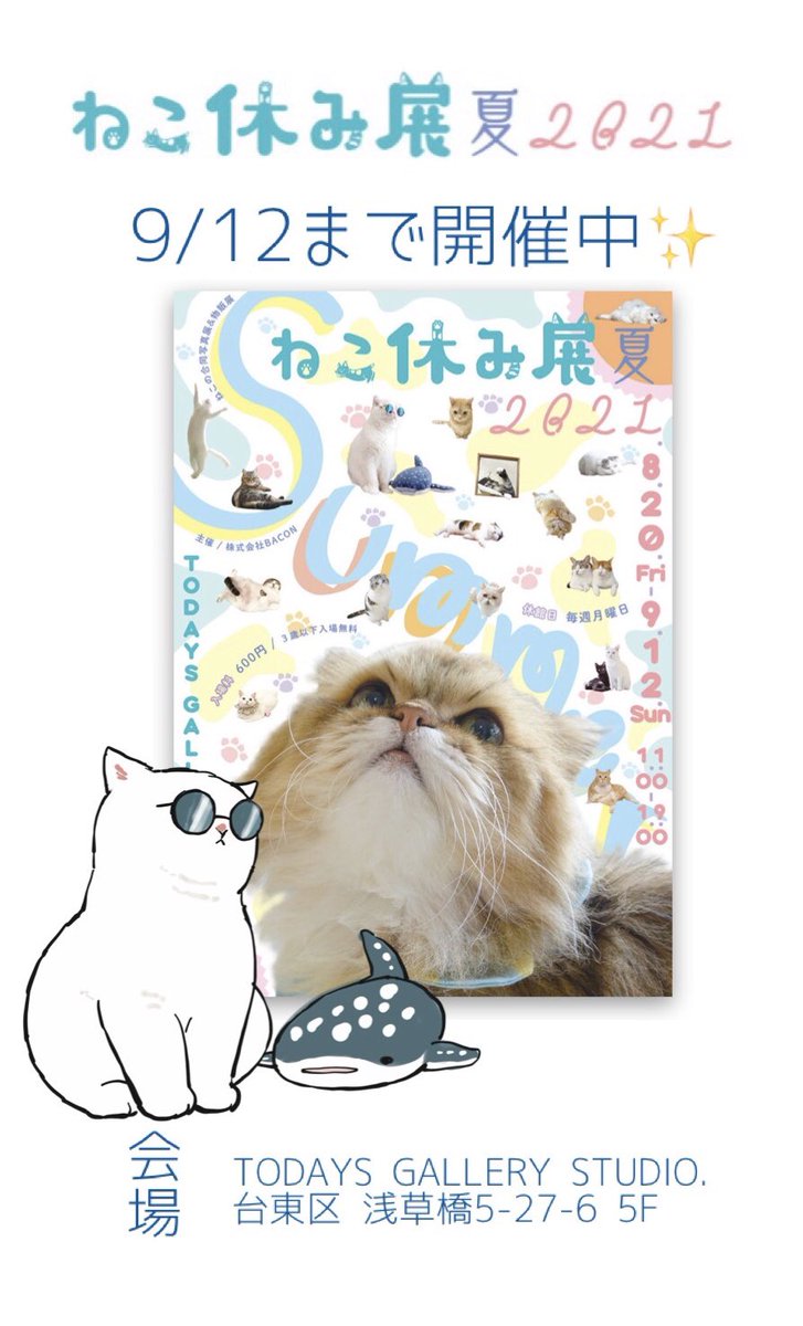 【イベントやっております】
(東京)ねこ休み展夏開催中✨

ぢゅのが趣味で作ったさめにゃんグッズ販売しております🦈💖

https://t.co/PEoemKb7th 