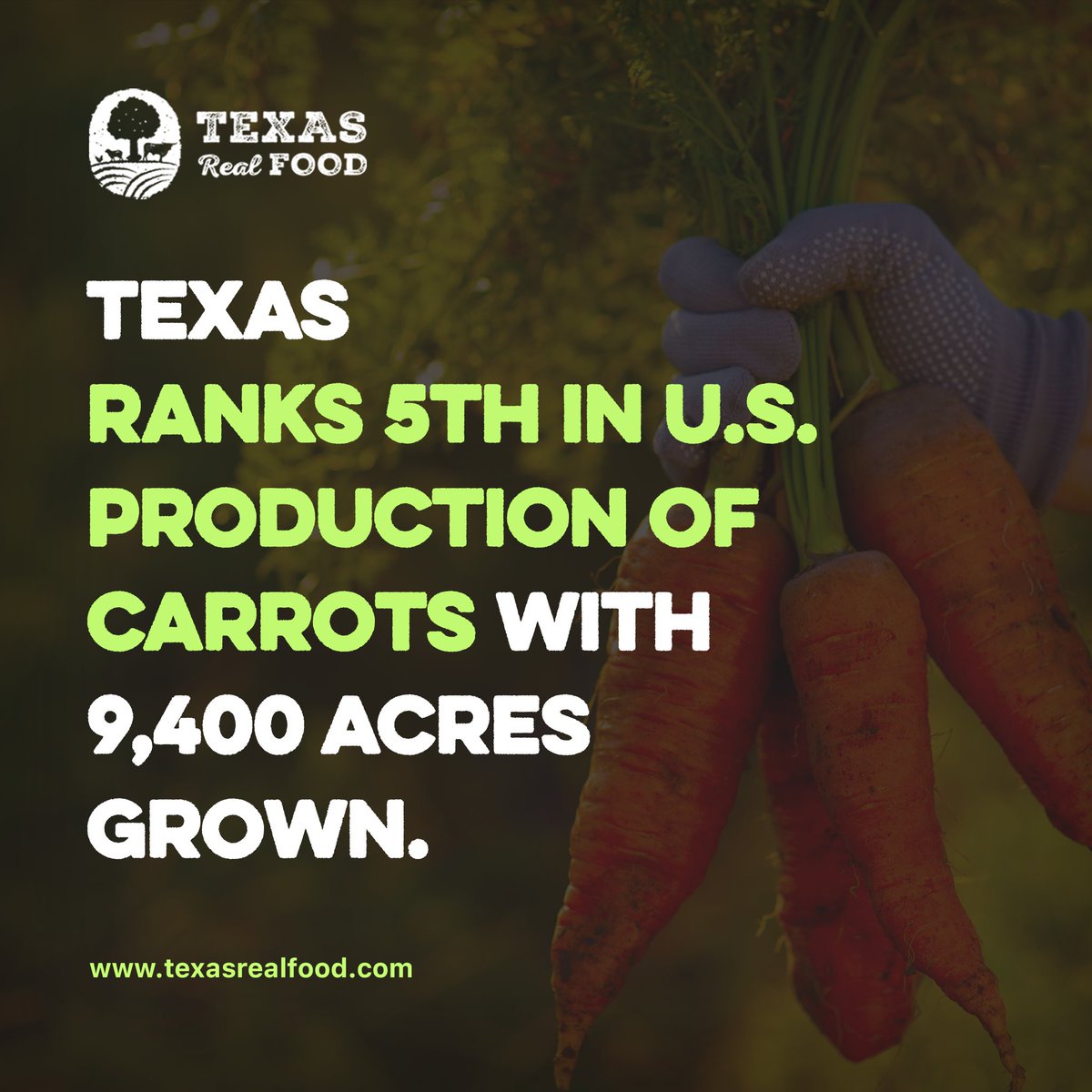 TexasRealFood tweet media