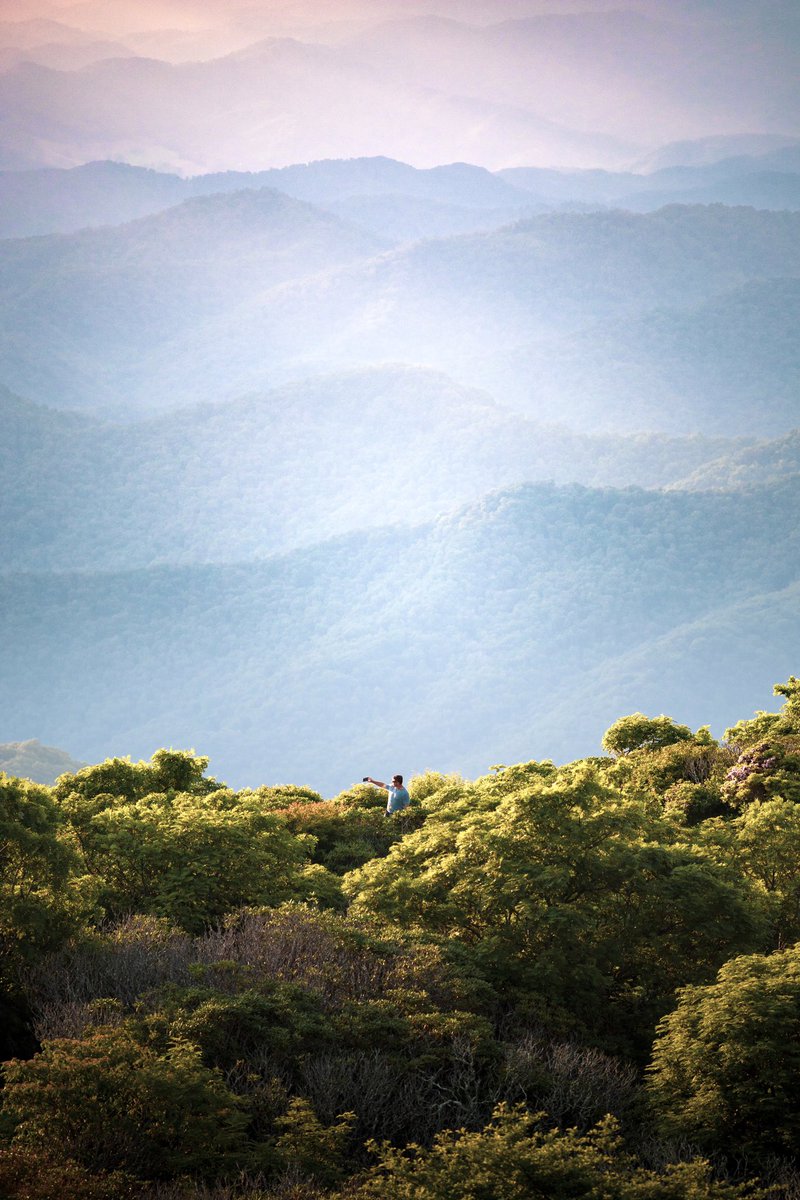summer in the blue ridge mountains ⛰
