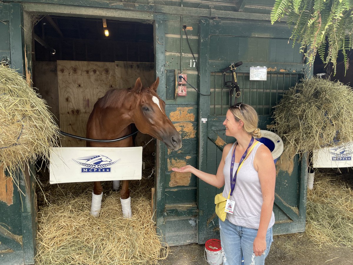 StreamHorse (@streamhorsetv) on Twitter photo Good luck to Swiss Skydiver today at @SaratogaRace ! bit.ly/3zrpE6q <a href="/NATALIE_MAYRATH/">NATALIE MAYRATH</a> <a href="/McPeekRacing/">McPeek Racing</a> <a href="/TheNYRA/">NYRA (🗽)</a> <a href="/trfinc/">Thoroughbred Retirement Foundation (TRF)</a> #horseracing #racehorse #saratogasprings #horse #personalensign #thoroughbred Good luck to Swiss Skydiver today at @SaratogaRace ! bit.ly/3zrpE6q <a href="/NATALIE_MAYRATH/">NATALIE MAYRATH</a> <a href="/McPeekRacing/">McPeek Racing</a> <a href="/TheNYRA/">NYRA (🗽)</a> <a href="/trfinc/">Thoroughbred Retirement Foundation (TRF)</a> #horseracing #racehorse #saratogasprings #horse #personalensign #thoroughbred