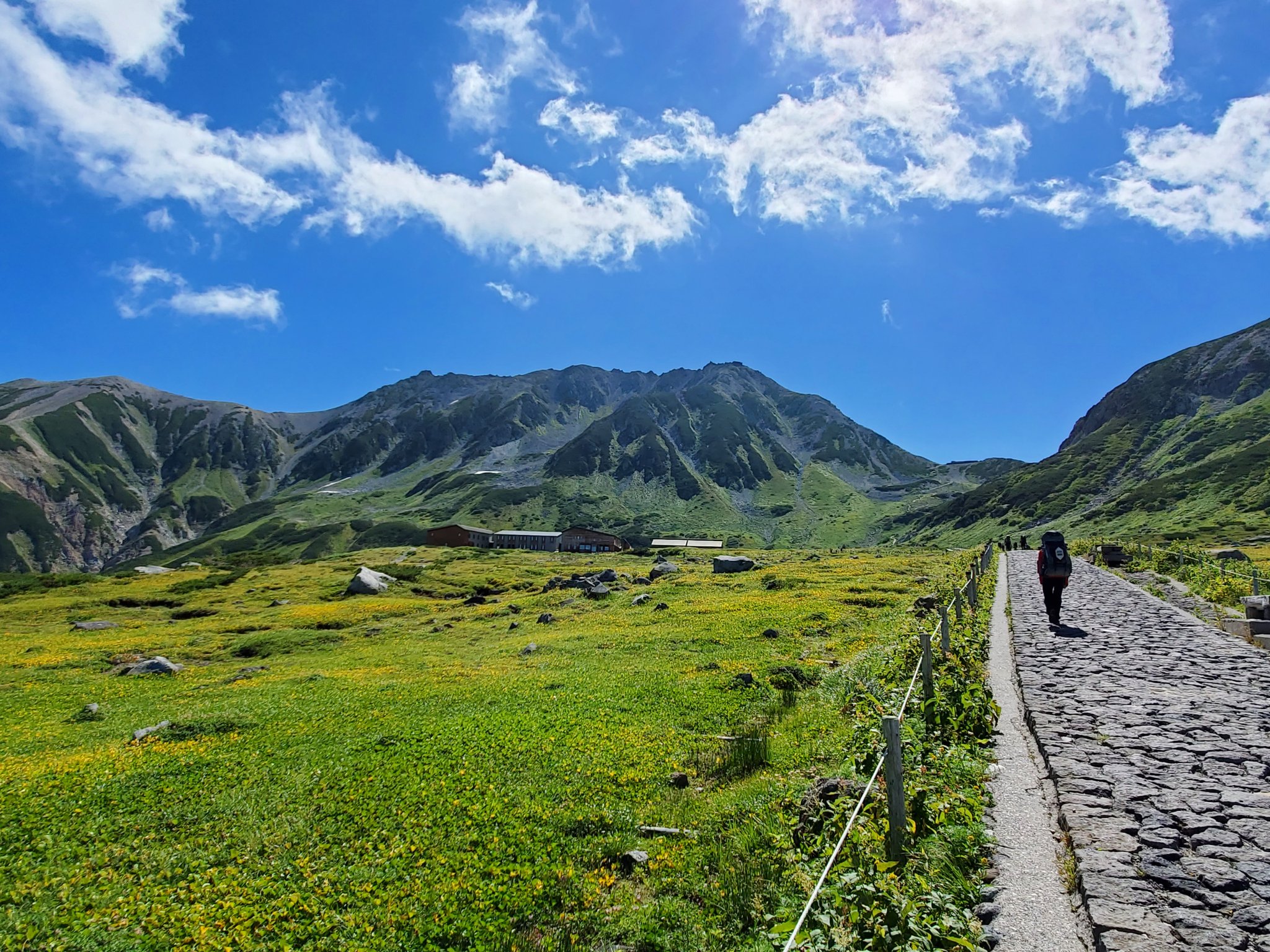 See Tateyamagirl S Tweet On Aug 28 21 Twitter