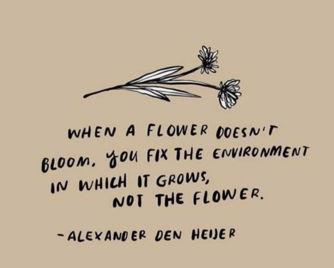 Over the past several weeks I have witnessed teachers and administrators, ensuring their “flowers” are beautiful! ❤️❤️