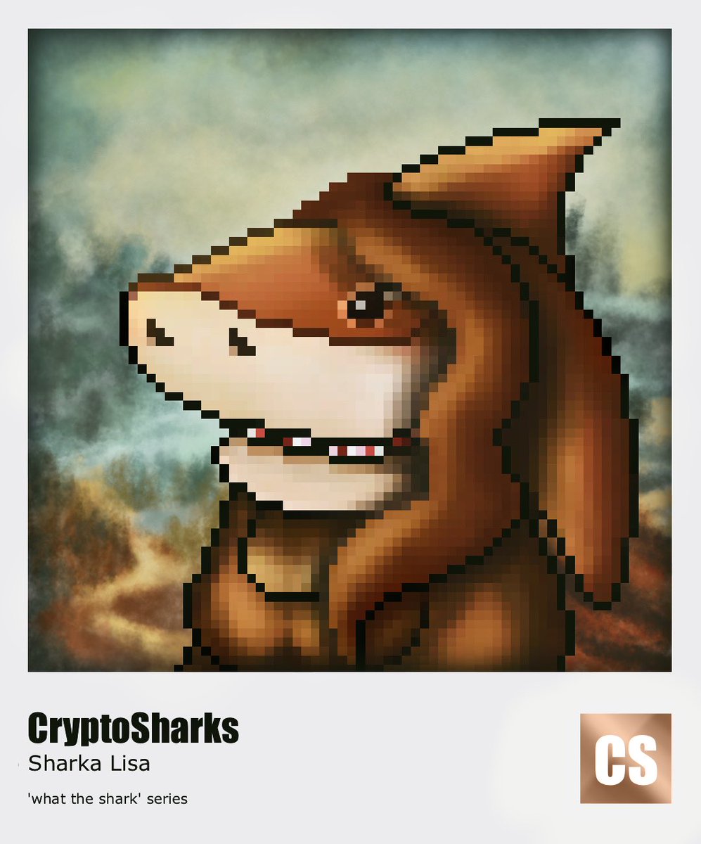 CryptoSharks | NFT 🏴‍☠️🏳️‍🌈 tweet media
