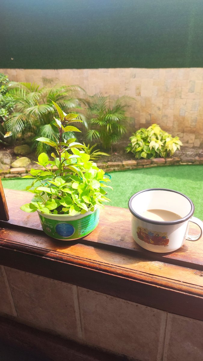 Lorena Evelyn Arráiz tweet media