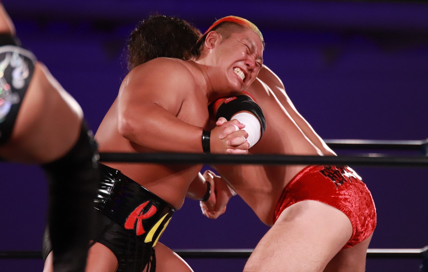 Amazon.co.jp: プロレス ドラゴンゲート マスク 吉田 隆司
