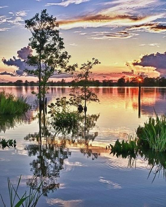 ☀️🧡🍃💚🧡☀️