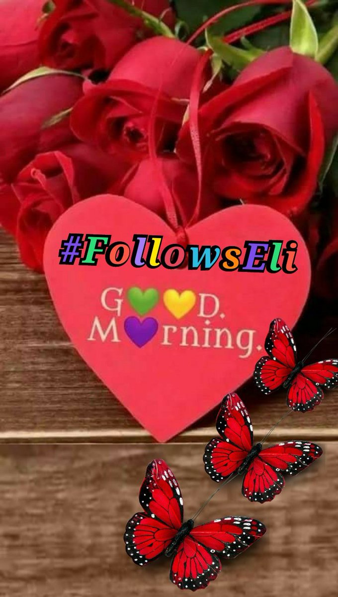 ♒🌷❤️𝐀𝐦𝐞𝐥𝐢𝐚𝐕𝐢𝐜𝐞𝐧𝐜𝐢𝐨❤️🌷♒️ tweet media