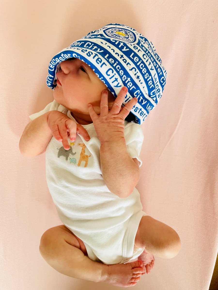 bakes615's tweet photo. #MyPLMorning #leicestercity #ryemaxwell @LCFC https://t.co/V4bWWuOyrf