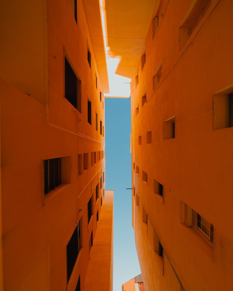 minizmal tweet media