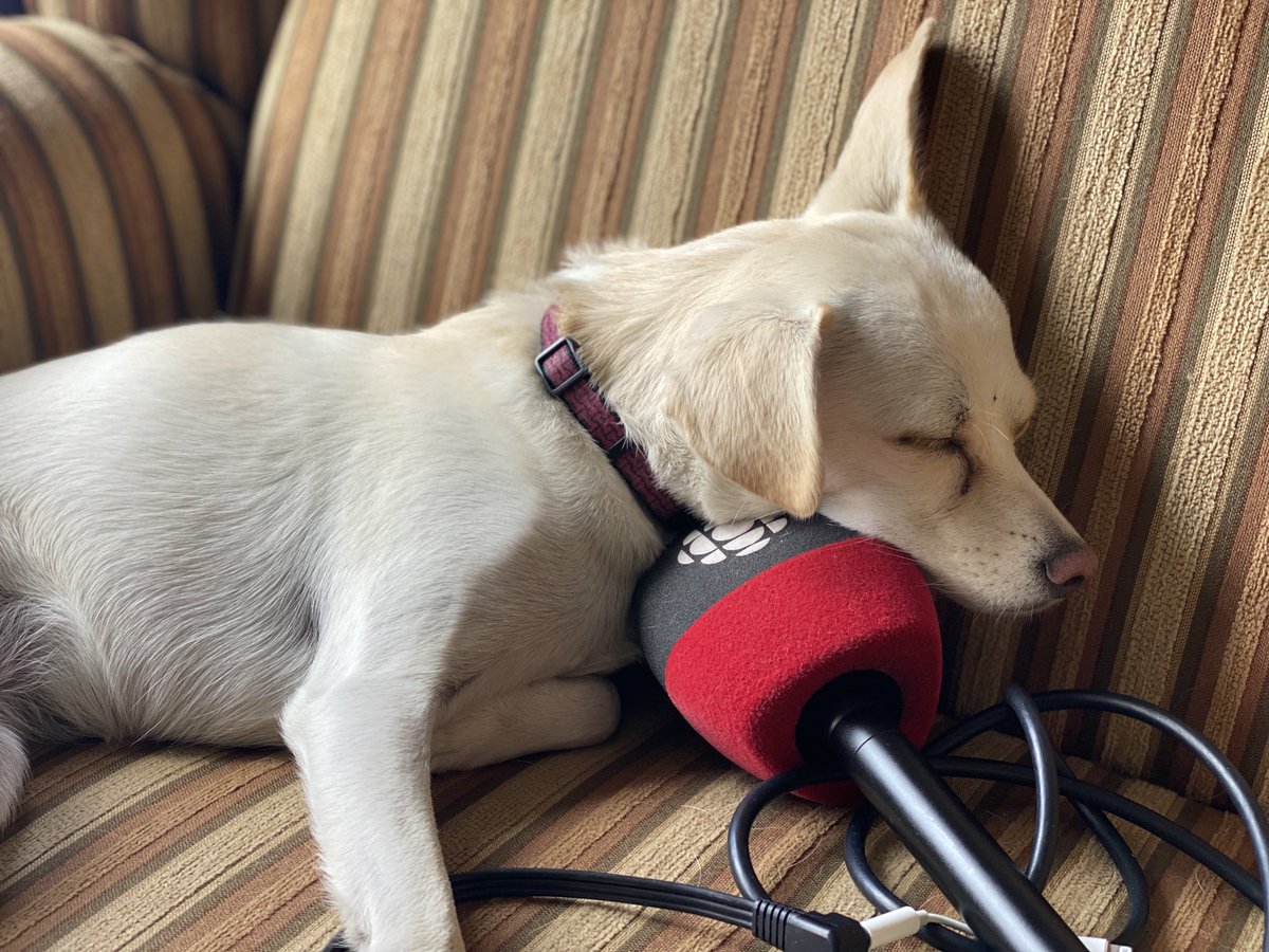 Sorry, can’t file radio for the next hour or so while princess gets her beauty rest