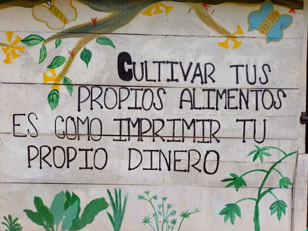JohariGautier's tweet photo. Las paredes dicen verdades… 

(foto tomada en el huerto comunitario de @Proarbol_col ). 

#Medioambiente #Huerto #Ecología #HuertaEnCasa https://t.co/ERvgTqMh1s