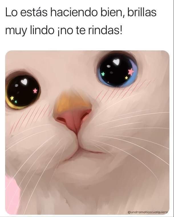 nixamonterrey's tweet photo. 🧃 https://t.co/BDHuTOb1sL