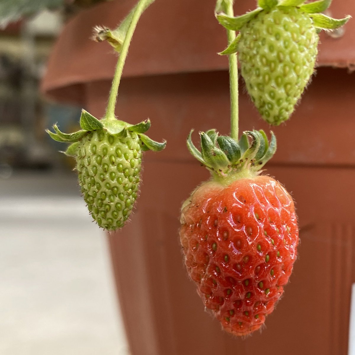 Marcos Vaca M. 🛸 tweet media