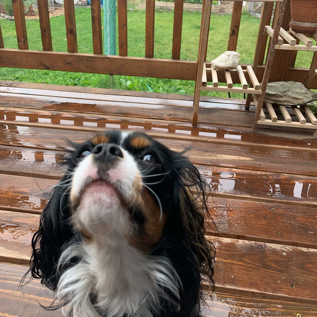 TamaraKittelson's tweet photo. @StefyZ784 Gram says hi and sends love. https://t.co/TMenPCxkGl