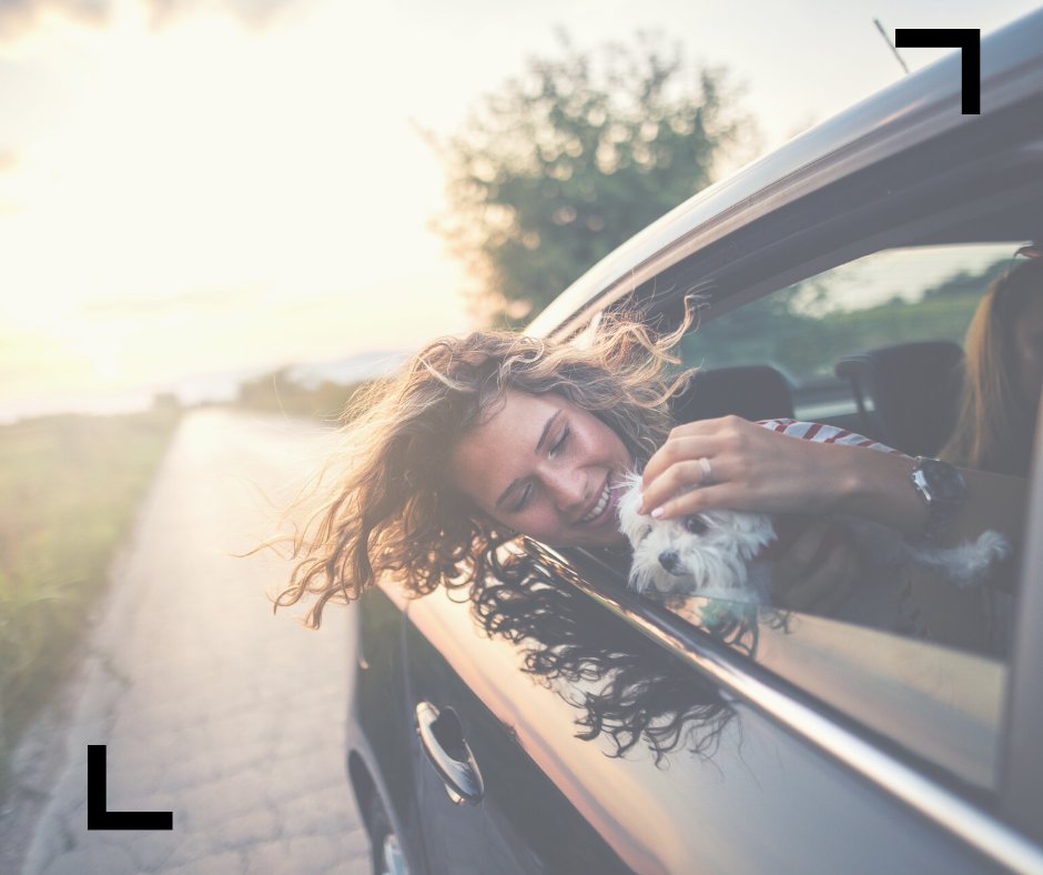 crainmazda's tweet photo. - Tape a dryer sheet on the air conditioning.
- Keep extra dryer sheets for spares.
- Wipe down your seats.
- Turn the steering wheel 180 degrees after parking your car.
- The side you touch will be facing away from the sun while you're out. https://t.co/iMv2TVRiOS