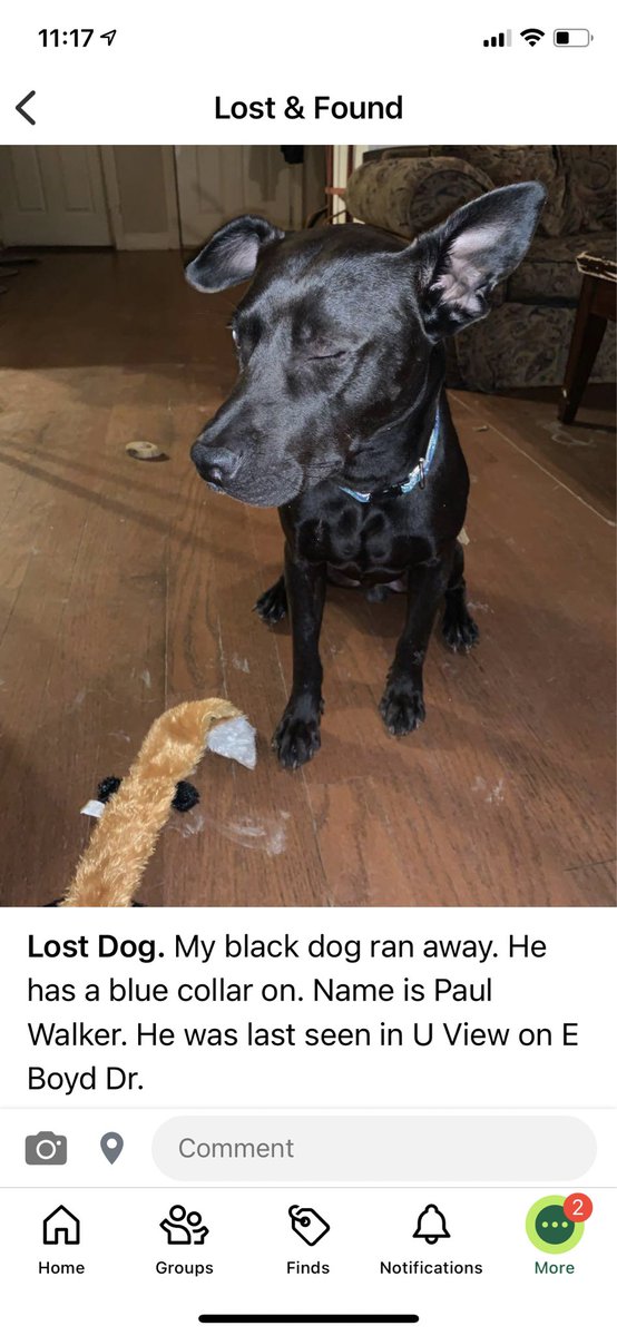 Brian O’Conner tweet media