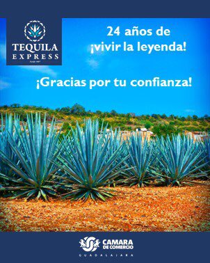 Tequila Express tweet media