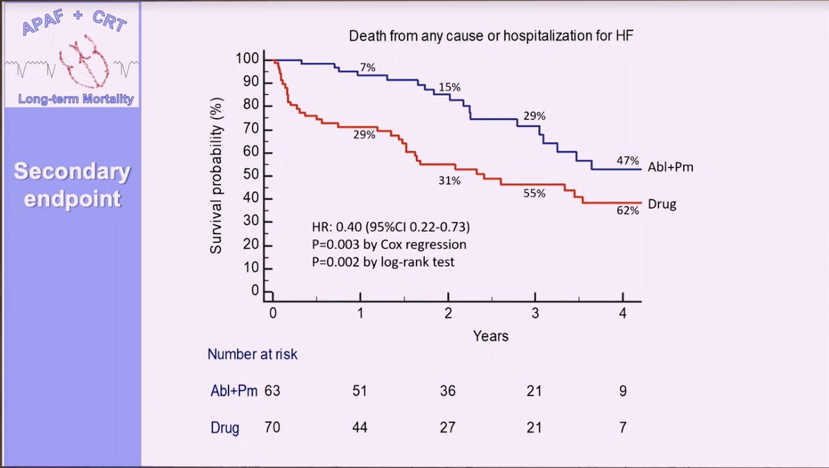 Maja Cikes tweet media