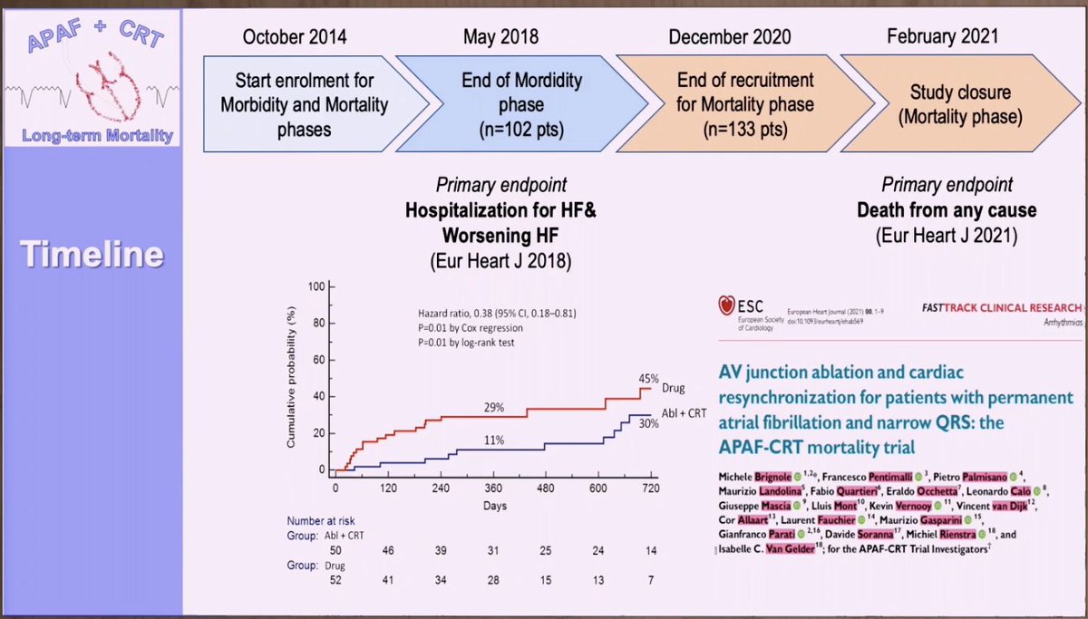 Maja Cikes tweet media