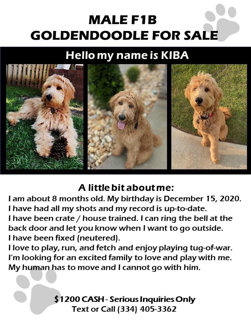 Chief ® G tweet media