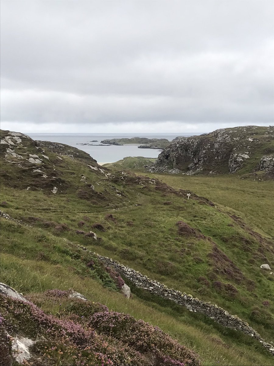 DorothyMacIver's tweet photo. Walk round #Bernera #WesternIsles today. So lovely. The heather is incredible this year! Saw reconstructed #ironage dwelling at #Bostabeach a copy of ones found there after a storm in the 1990s. https://t.co/Ln4fsbrlia